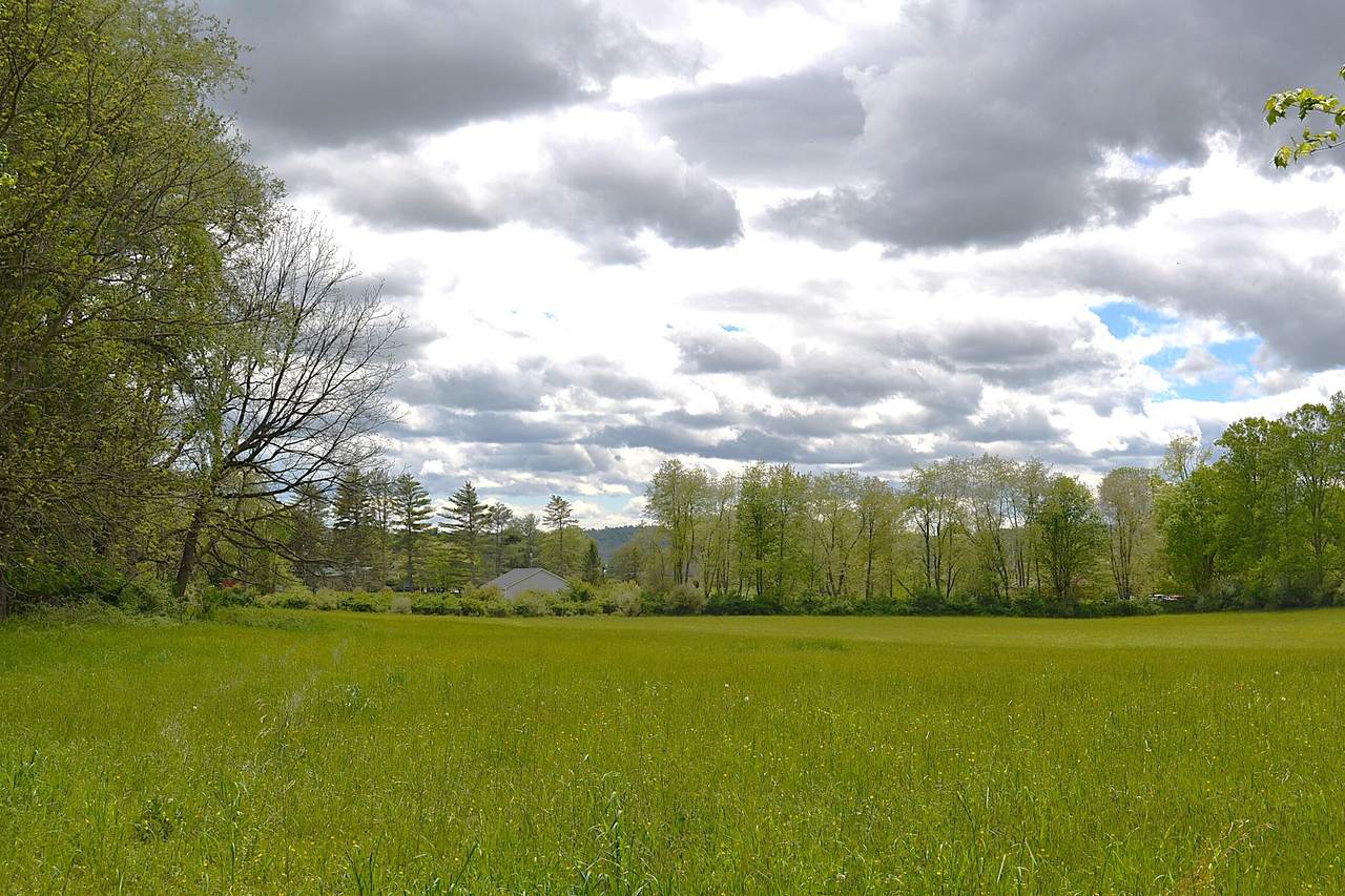  Windy Meadows Ln - Photo 1