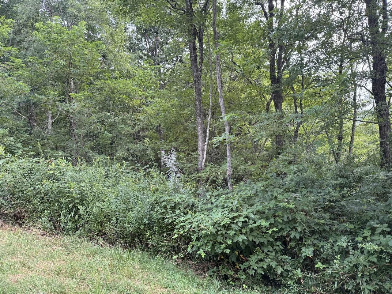131 Sunset Mountain Village - Photo 1
