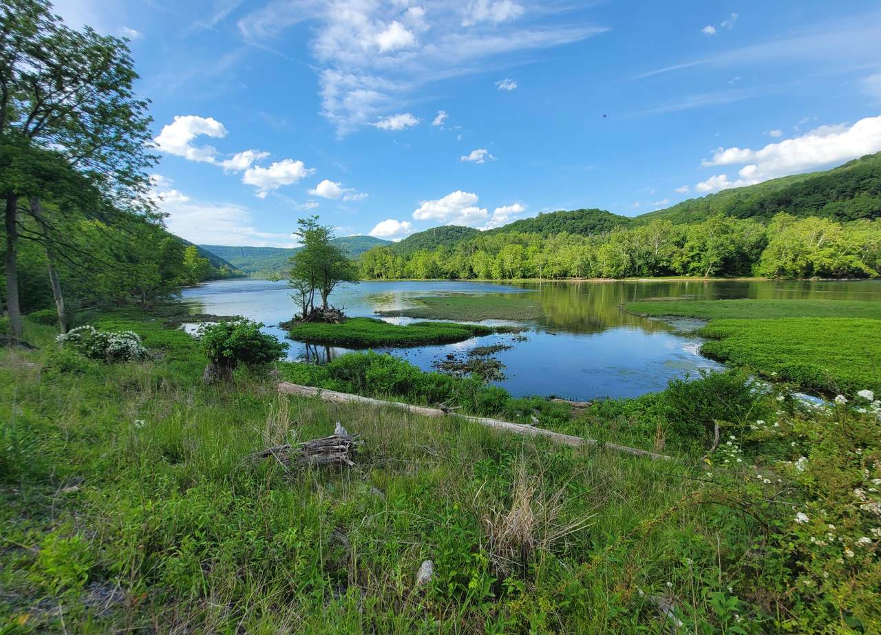 https://bt-photos.global.ssl.fastly.net/greenbrier/1280_boomver_1_26-629-2.jpg