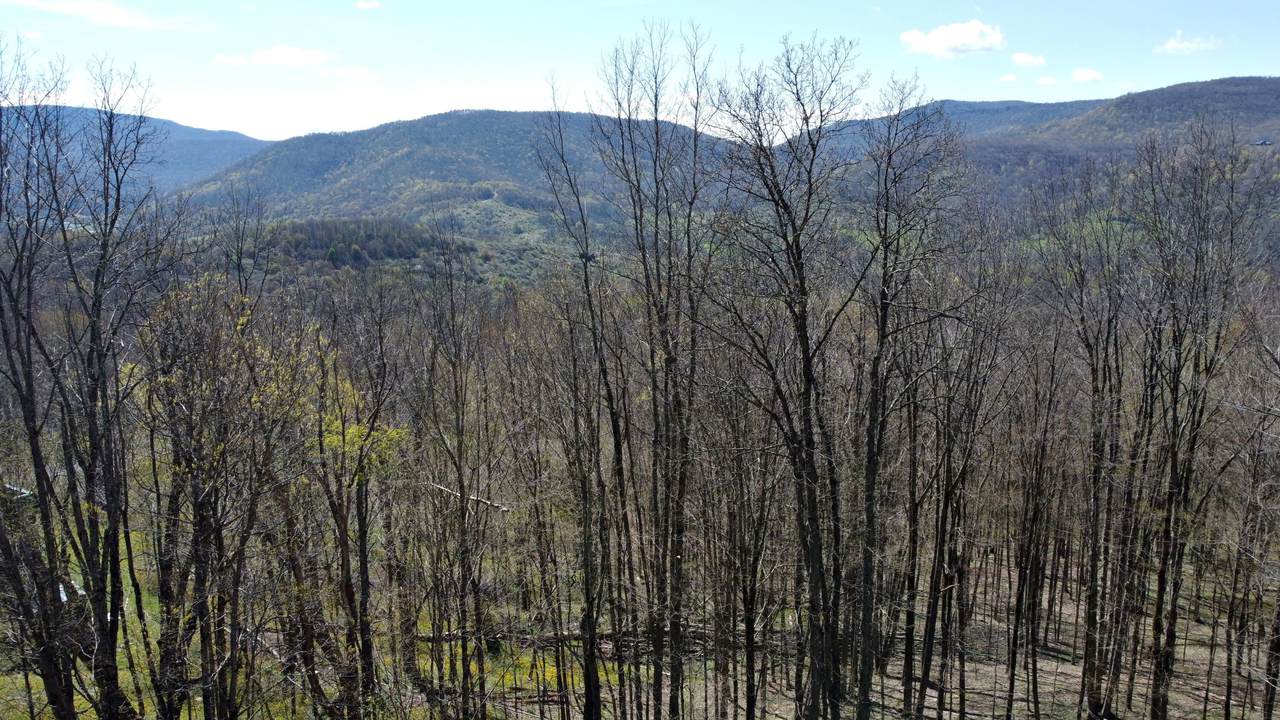 15 Hawthorne Ridge Rd - Photo 1