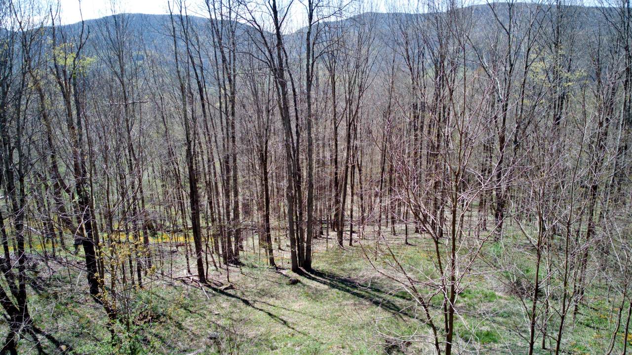https://bt-photos.global.ssl.fastly.net/greenbrier/1280_boomver_1_26-635-2.jpg