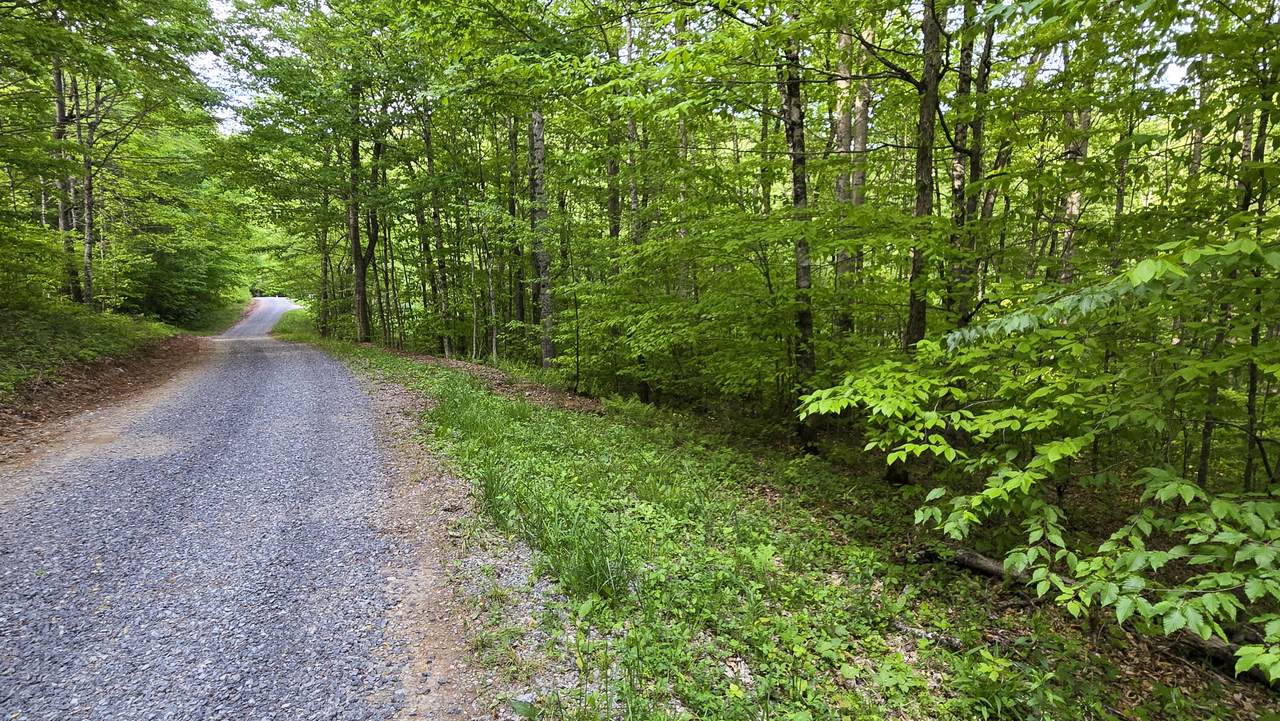 Lot 14 Roberts Ridge - Photo 1