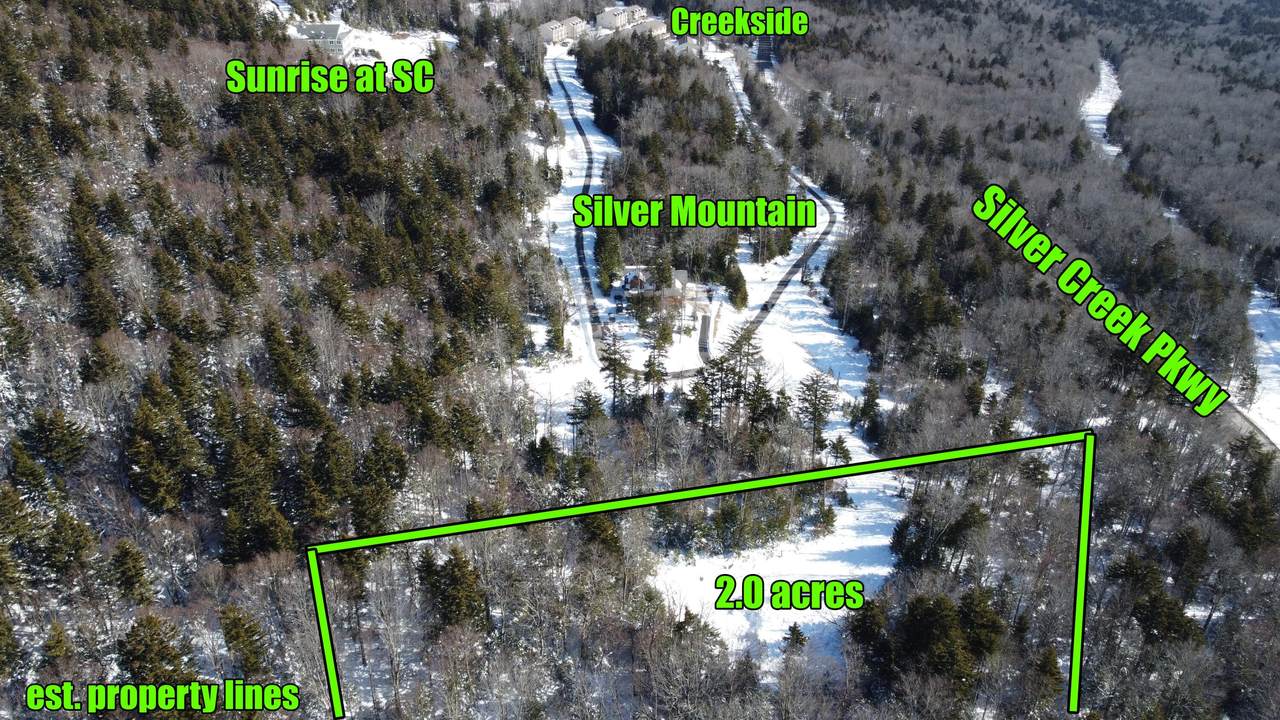  Silver Creek Parkway - Photo 1