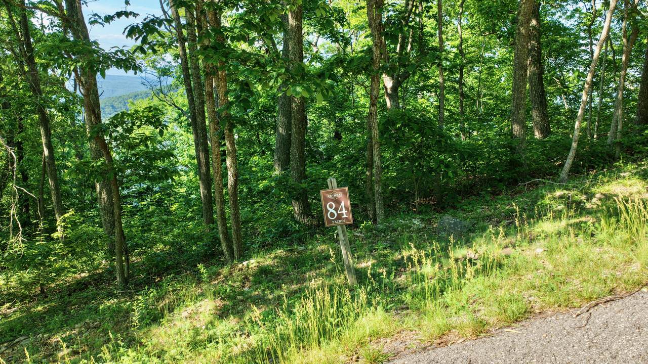 Lot #84; White Rock Trail - Photo 1