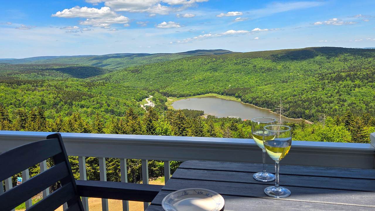 350 Mountain Lodge - Photo 1