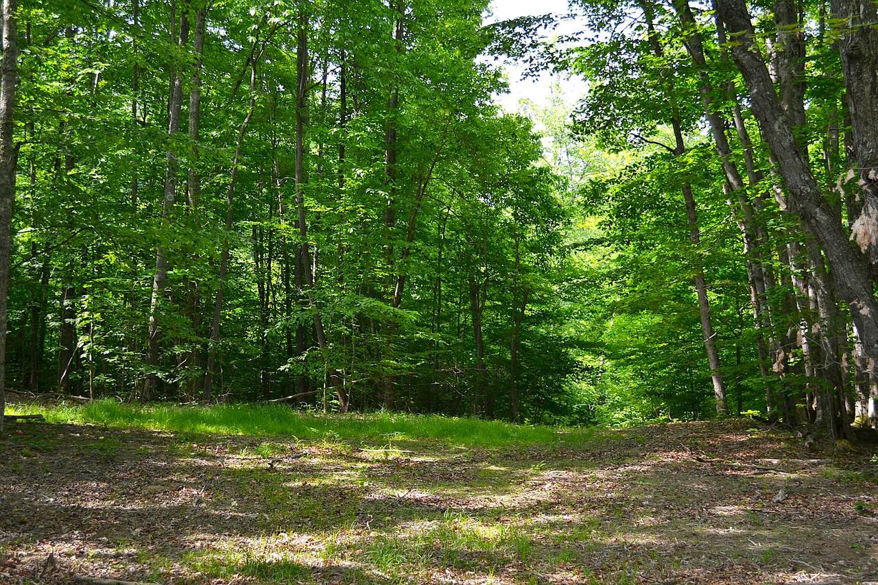  Cold Hollow Rd - Photo 1