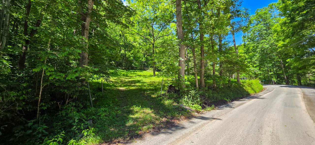  Big Creek Rd - Photo 1