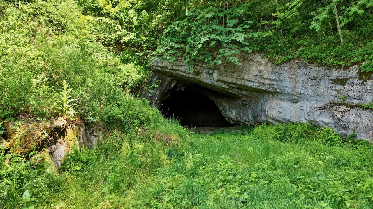 https://bt-photos.global.ssl.fastly.net/greenbrier/1280_boomver_1_26-773-2.jpg