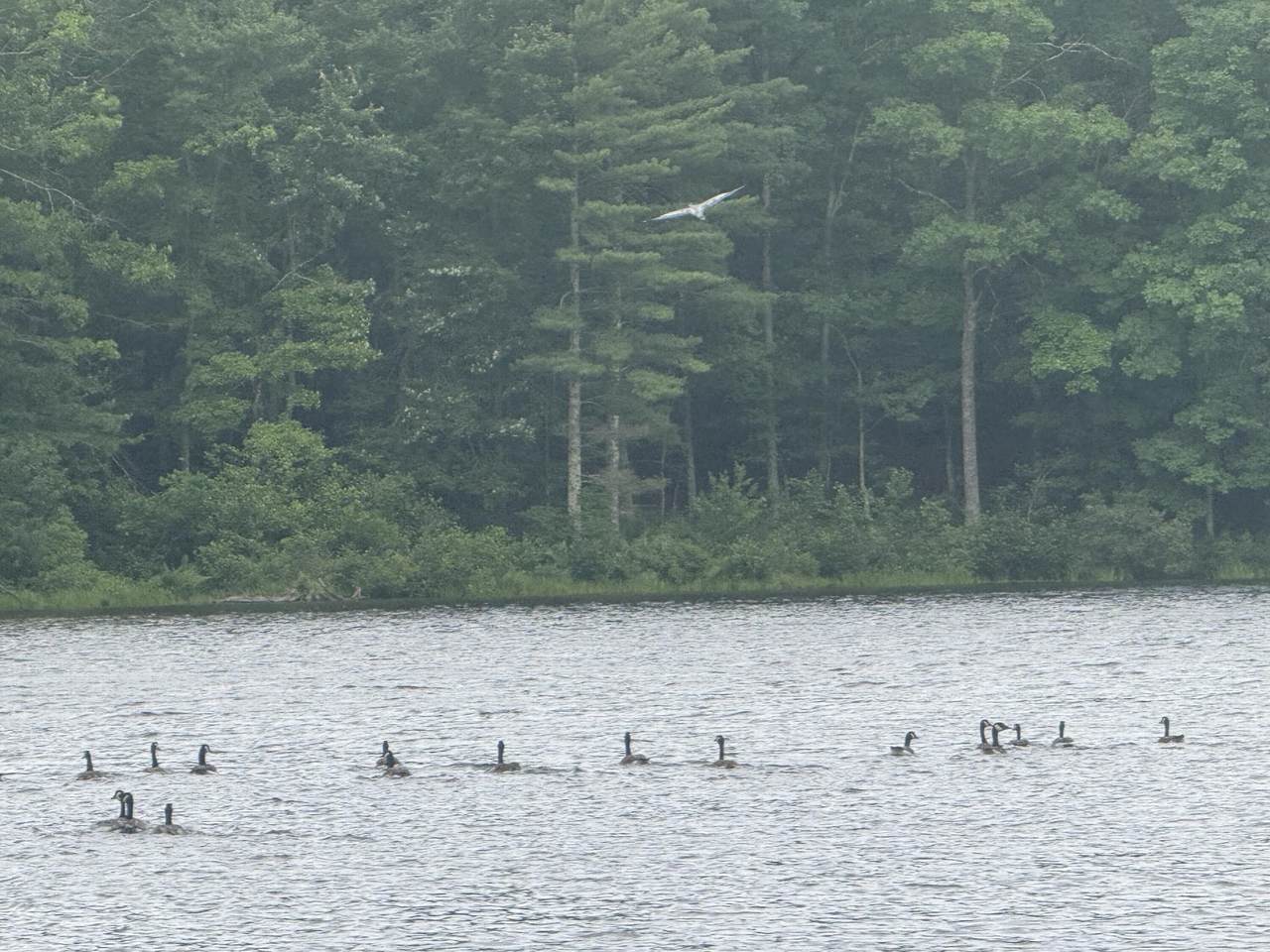 https://bt-photos.global.ssl.fastly.net/greenbrier/1280_boomver_1_26-776-2.jpg