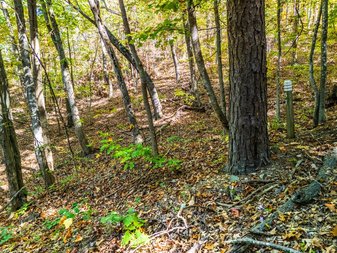  Retreat Lot 57 White Rock Trl - Photo 1