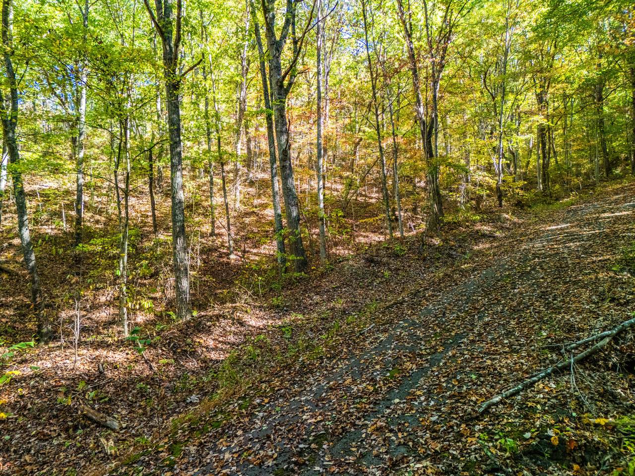 https://bt-photos.global.ssl.fastly.net/greenbrier/1280_boomver_1_26-778-2.jpg