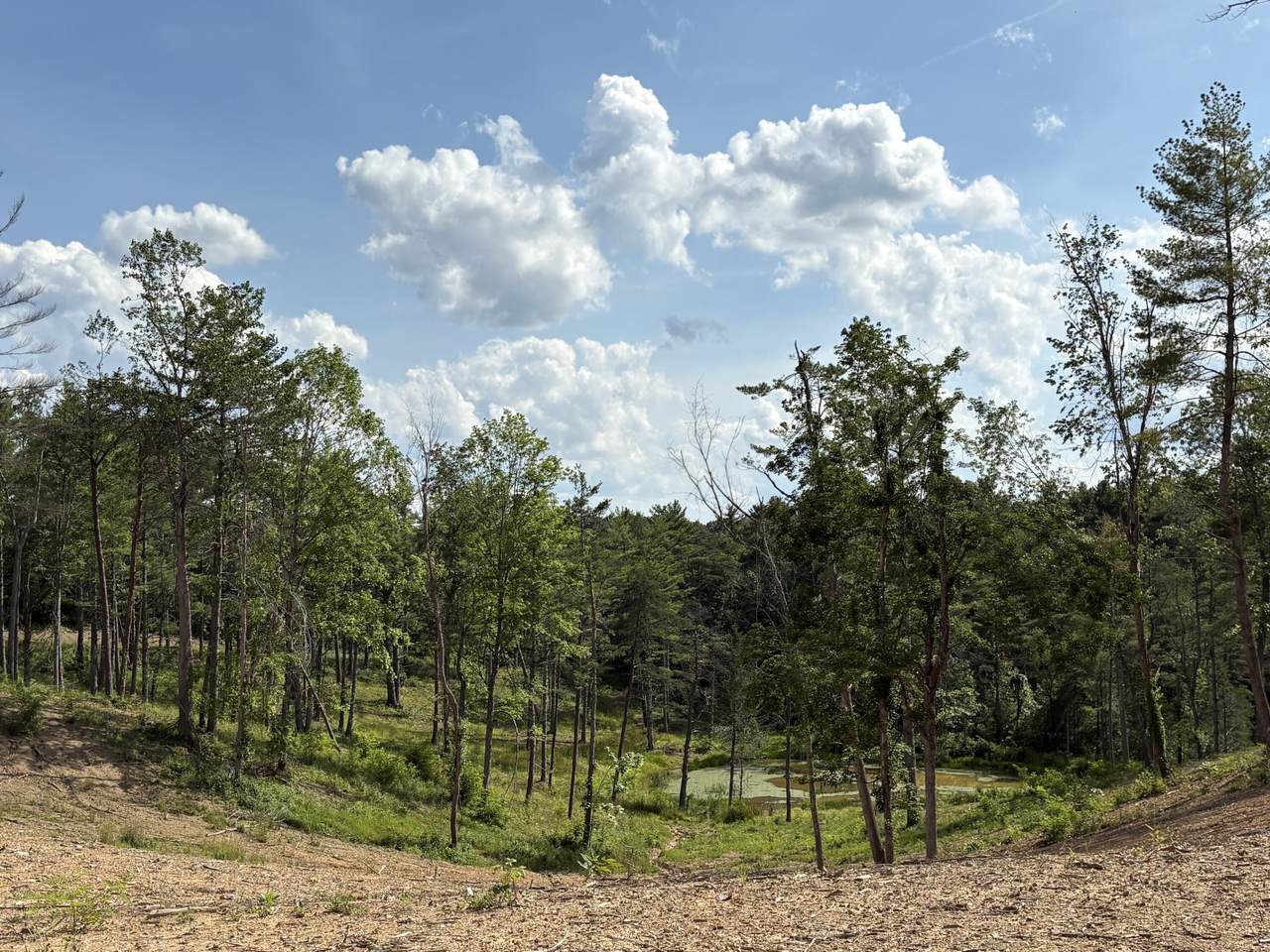  Rt 20/ Gravely Pt. - Photo 1