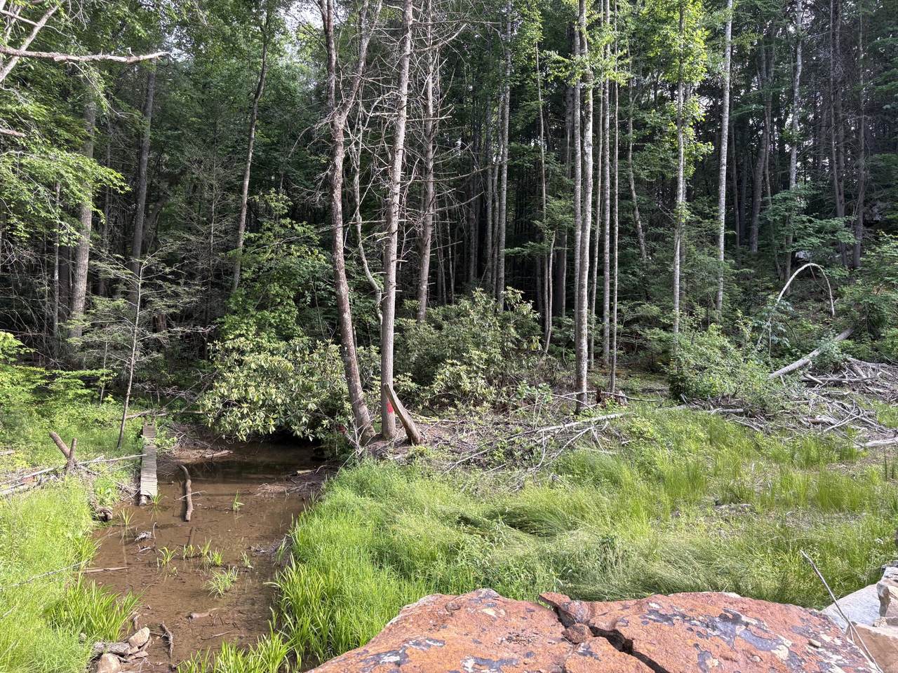 121 Acres Rt 20, Pipestem - Photo 1