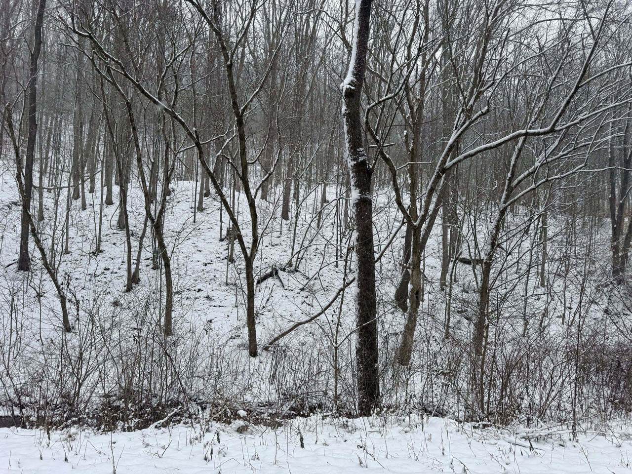 2600 Jordan Creek Rd - Photo 1
