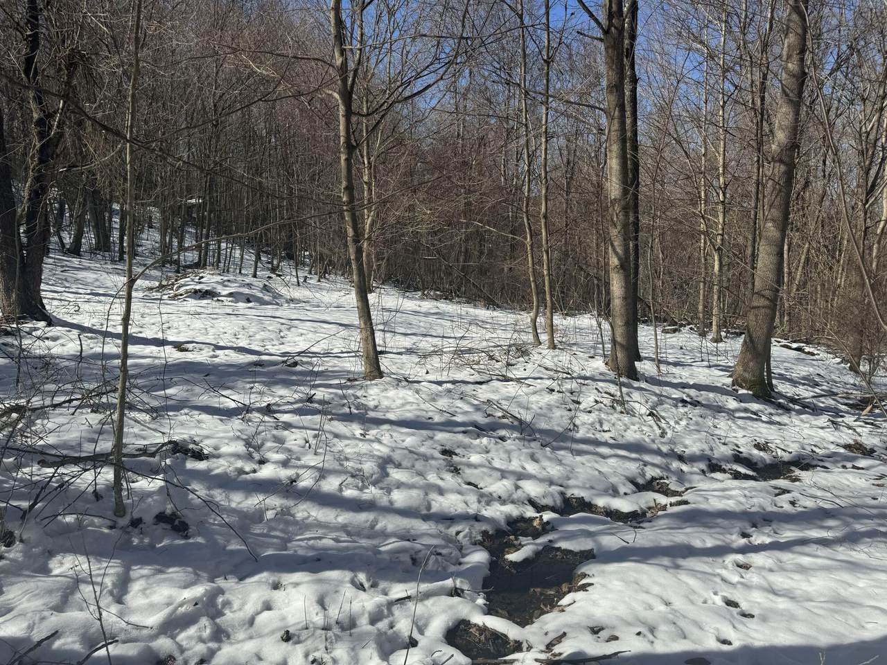 1145 Chestnut Ridge Rd - Photo 1