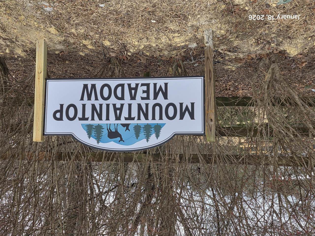 Lt 12/14 Mountaintop Meadow - Photo 1