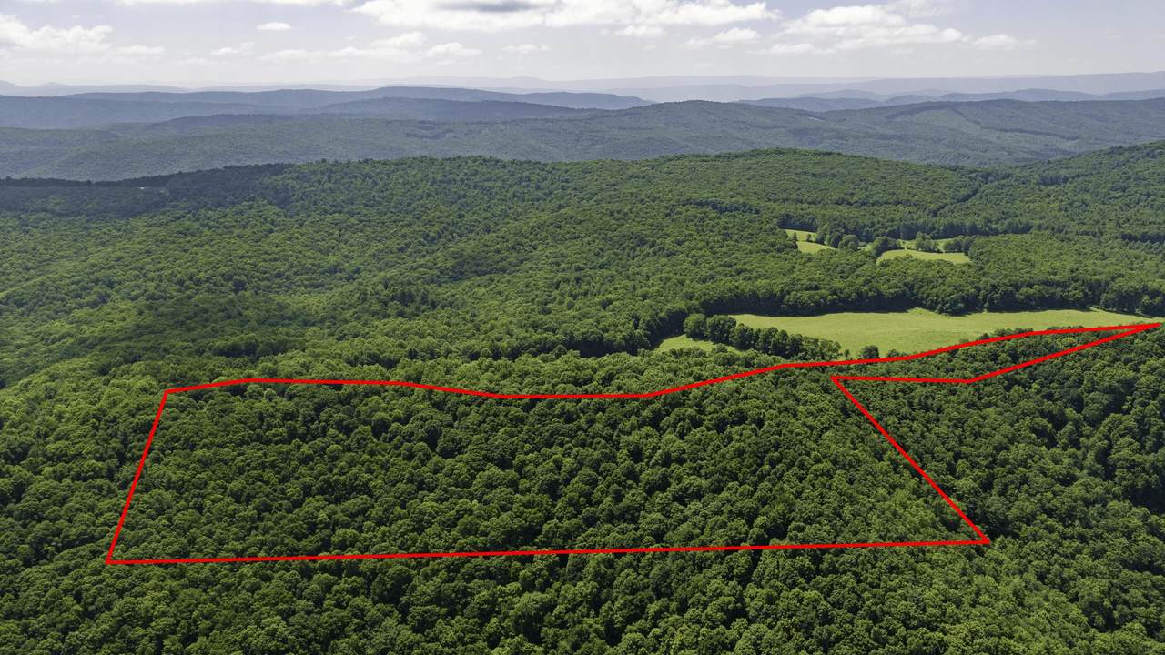  Kates Mountain Rd - Photo 1