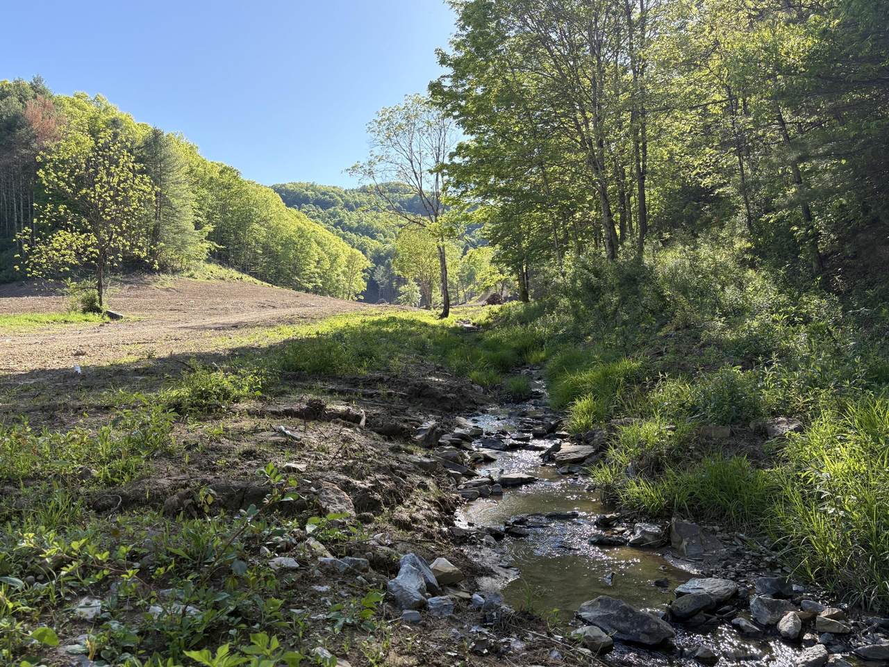  Suck Creek Road - Photo 1
