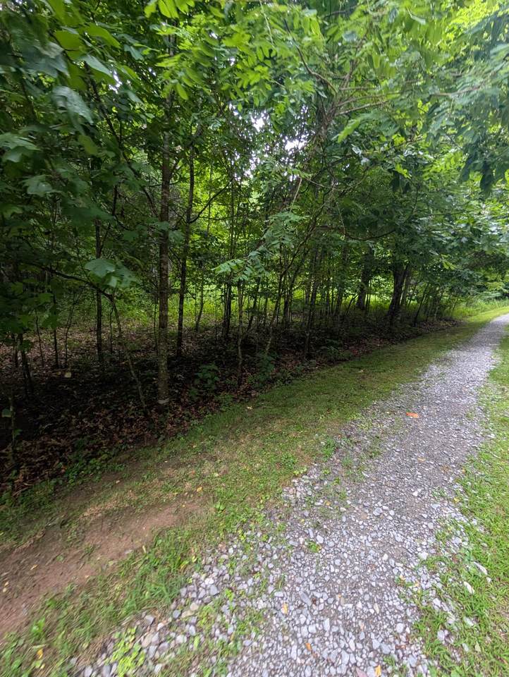 Tbd Explorer Ln - Photo 1