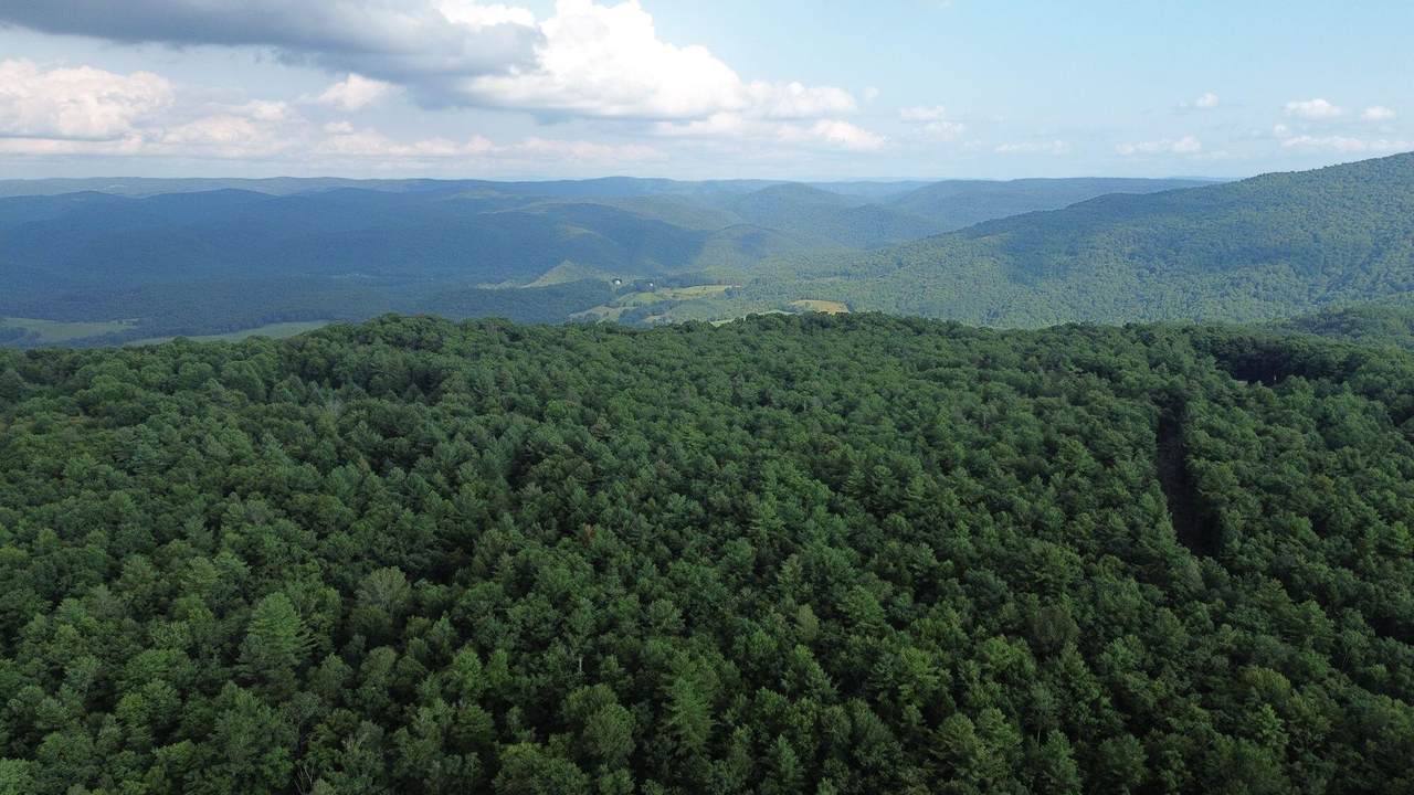 300 Droop Mountain Rd. - Photo 1