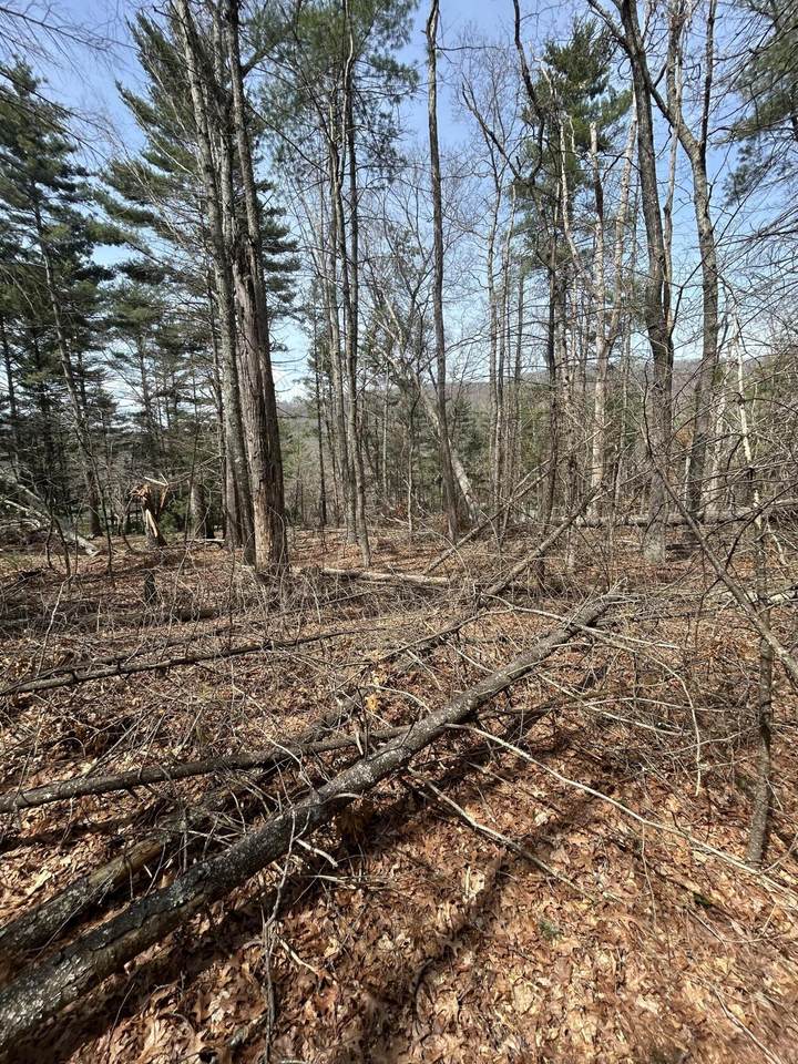  S At Rt 8 - Photo 1