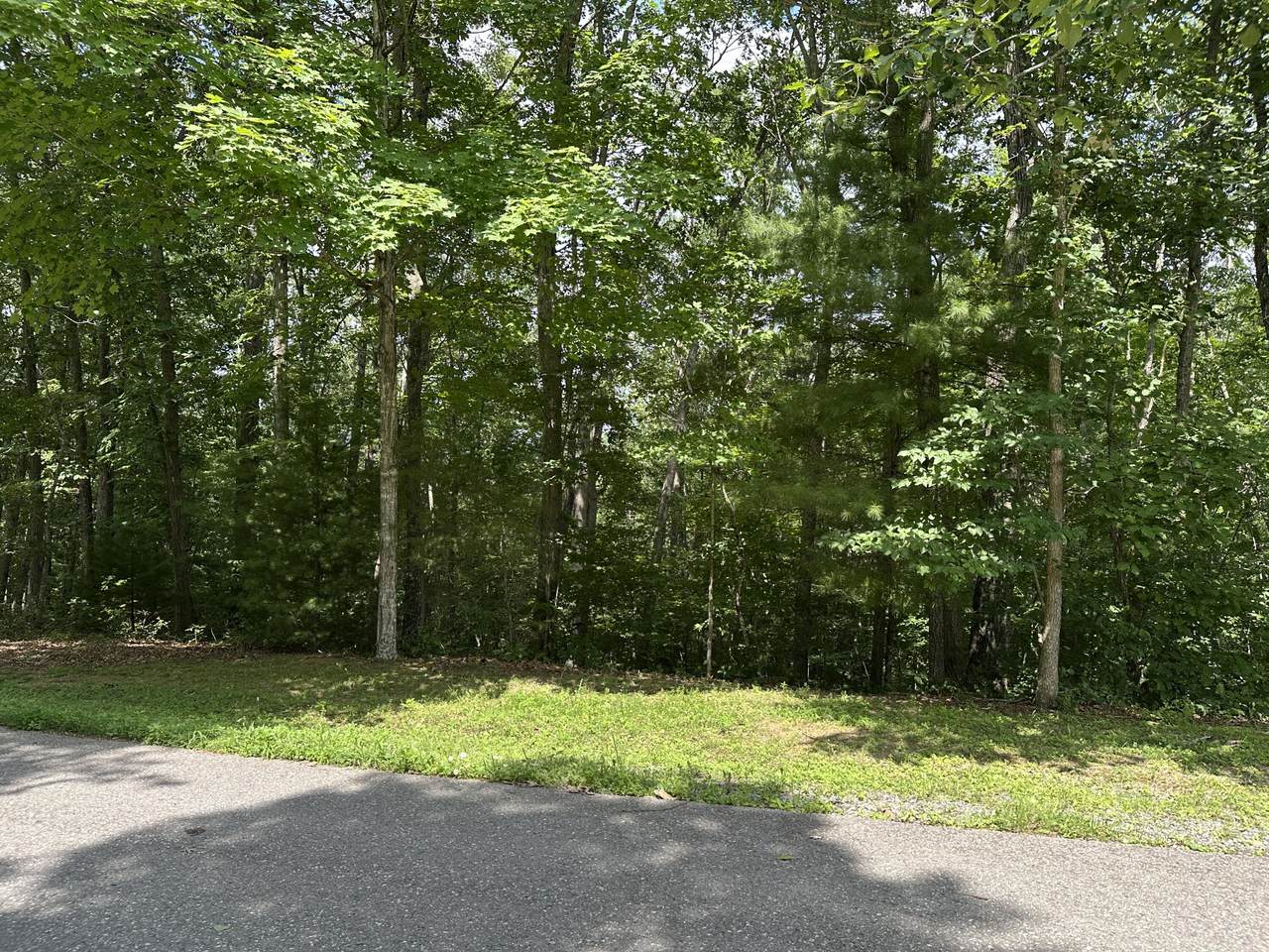 https://bt-photos.global.ssl.fastly.net/greenbrier/1280_boomver_1_26-984-2.jpg