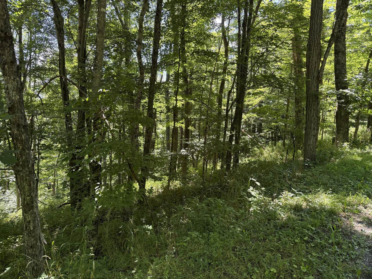 https://bt-photos.global.ssl.fastly.net/greenbrier/1280_boomver_1_26-992-2.jpg