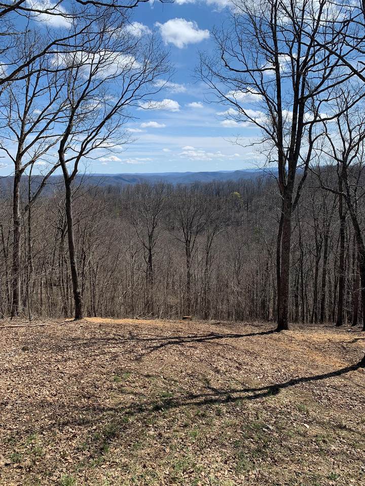 486 Summit Village Trail - Photo 1
