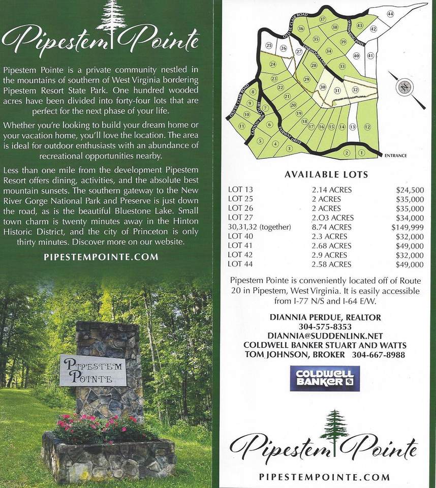 Lots 30-32 Pipestem Pointe - Photo 1