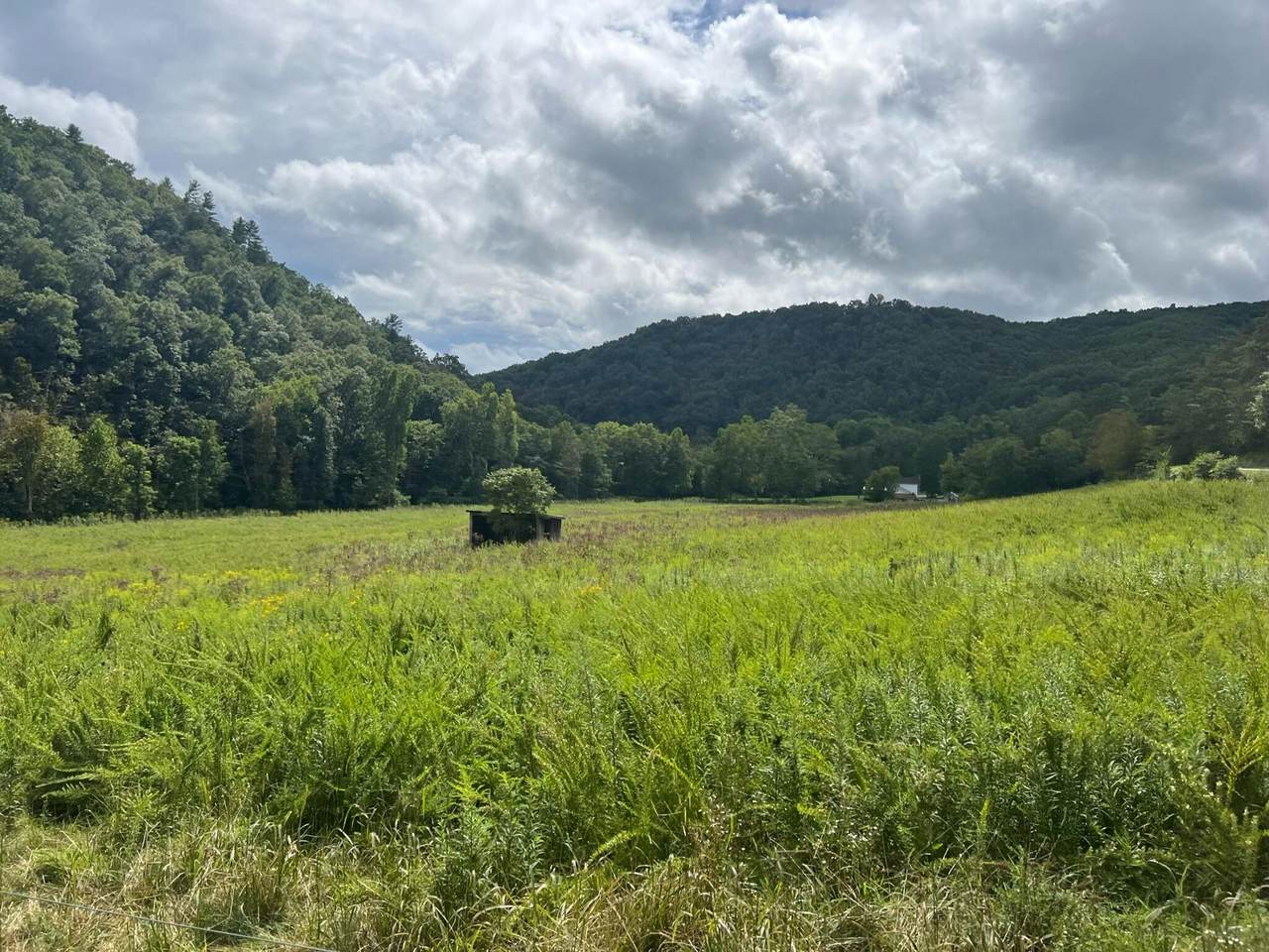 726 Judson Rd - Photo 1