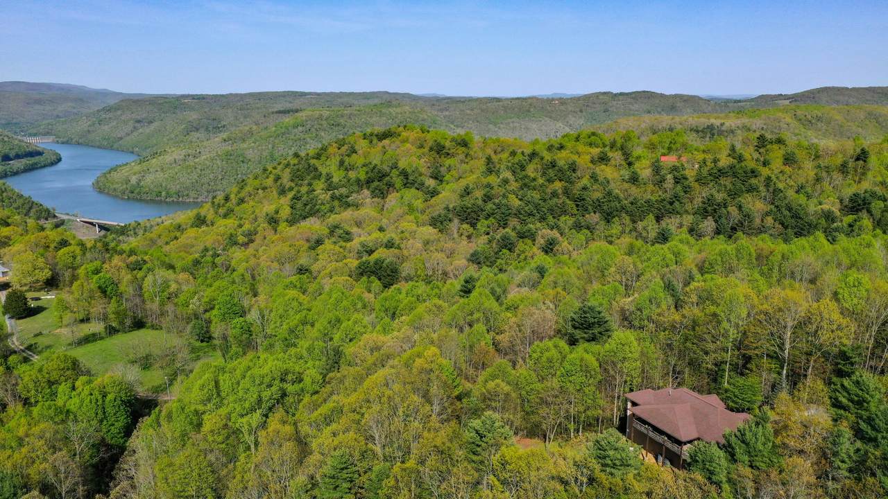 280 Mule Holler - Photo 1