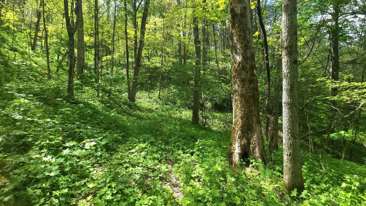 https://bt-photos.global.ssl.fastly.net/greenbrier/1280_boomver_2_23-1389-2.jpg