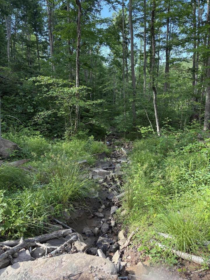 https://bt-photos.global.ssl.fastly.net/greenbrier/1280_boomver_2_24-655-2.jpg