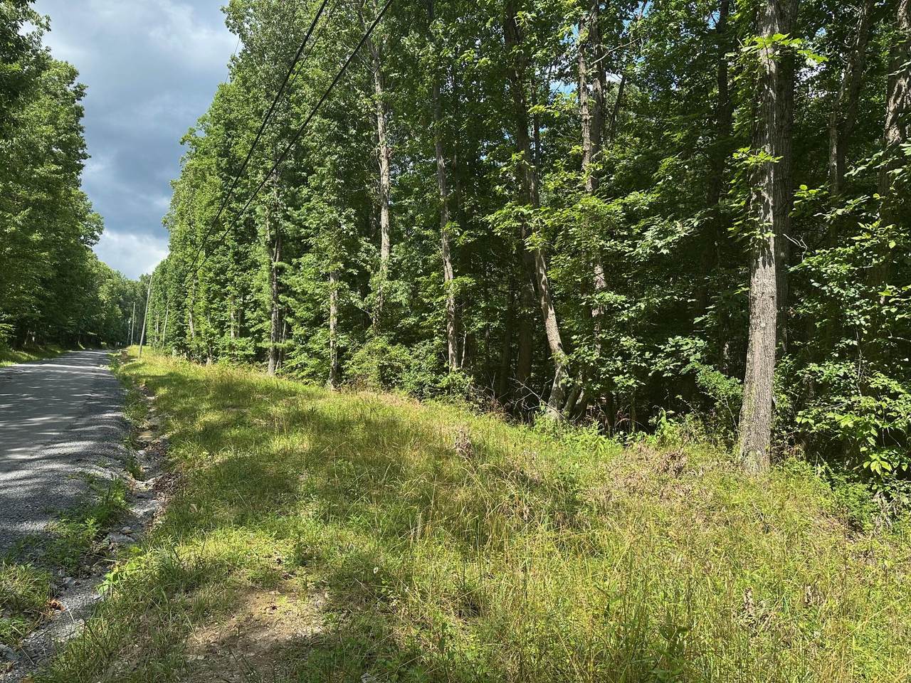 Lot 1 Rt. 1 Muddy Creek Mountain - Photo 1