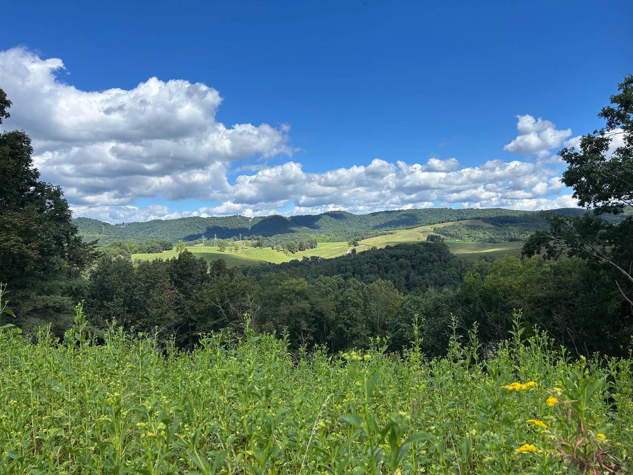 594 D Little Wolf Creek Rd - Photo 1