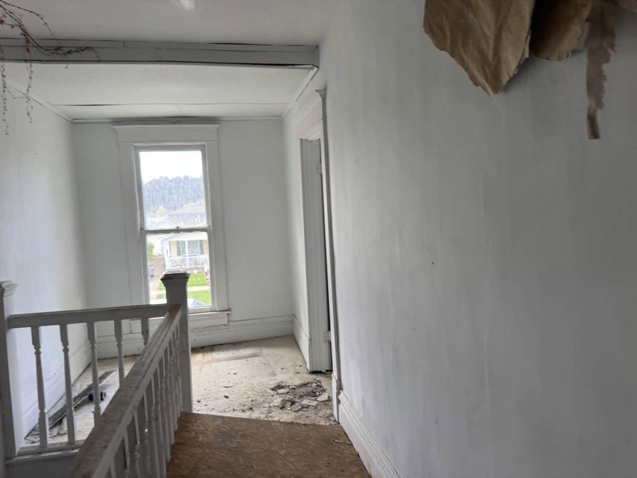 2443 Collis Ave - Photo 1
