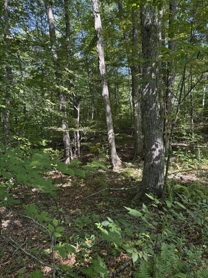  Thompson Road - Photo 1