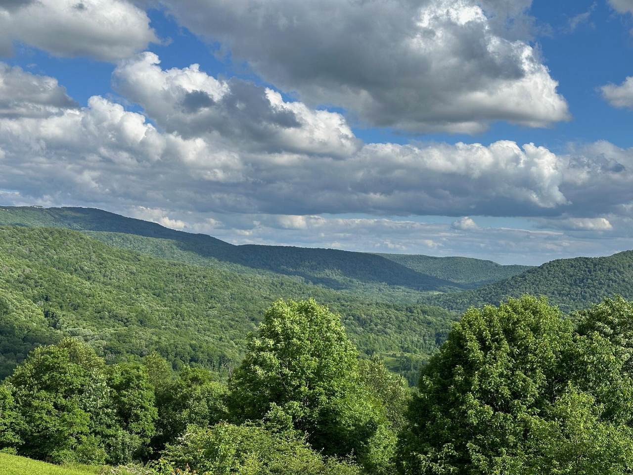 510 Headwaters Rd - Photo 1