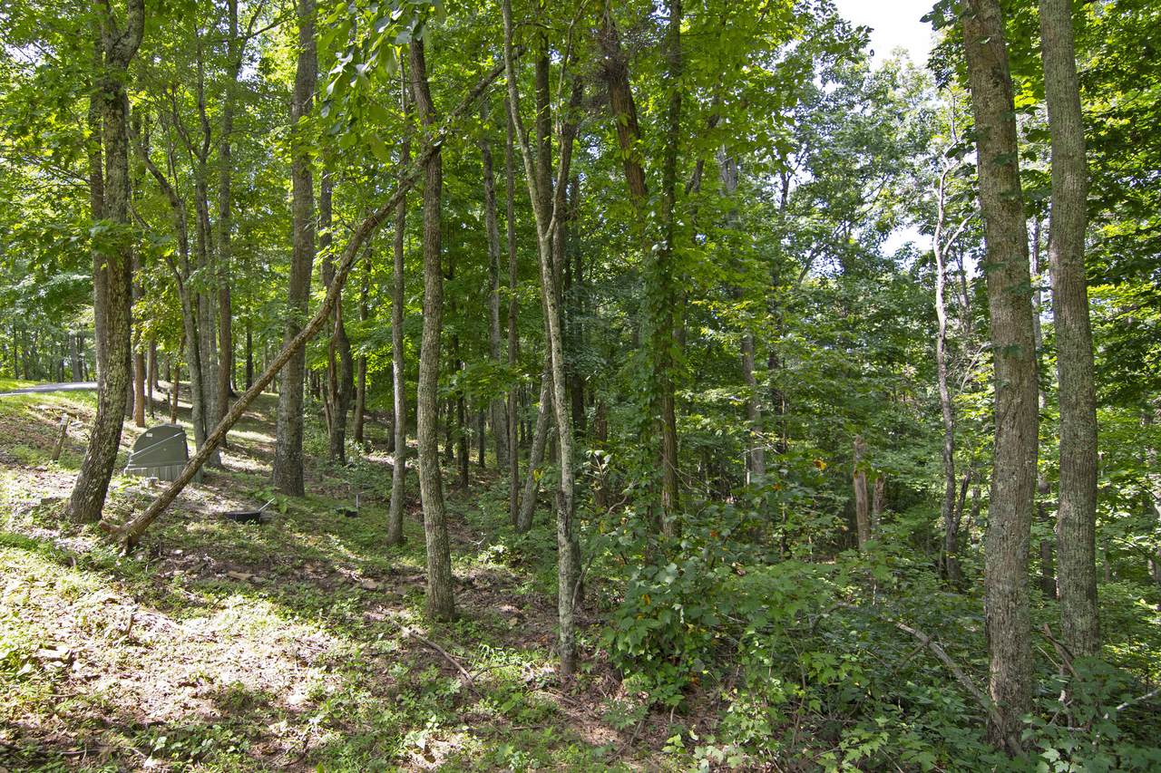 https://bt-photos.global.ssl.fastly.net/greenbrier/1280_boomver_2_26-147-2.jpg