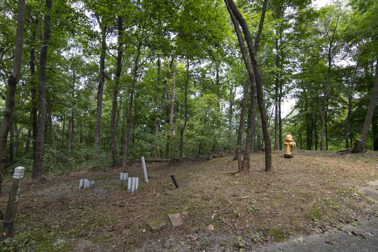 Lot 153 Withrow Landing - Photo 1