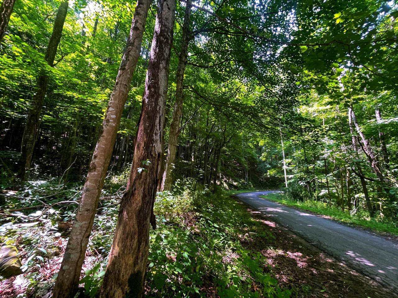 Tbd Leonard Long Rd - Photo 1