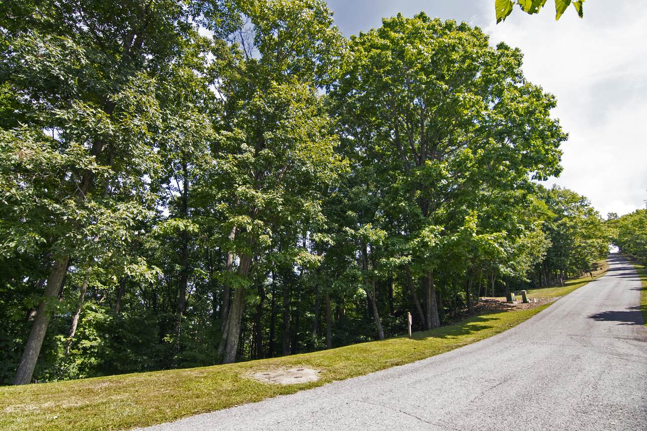 Lot 81 White Rock Trail - Photo 1