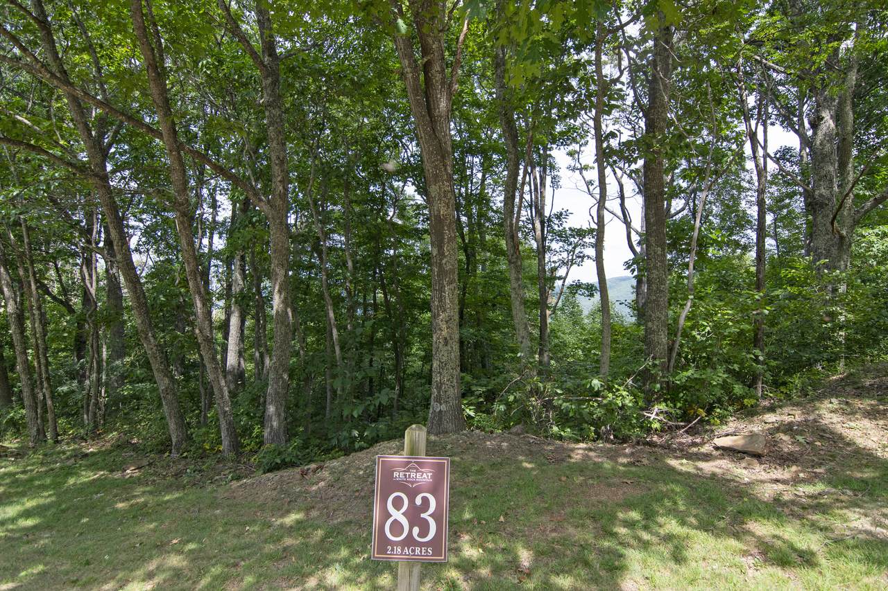 Lot 83 White Rock Trail - Photo 1