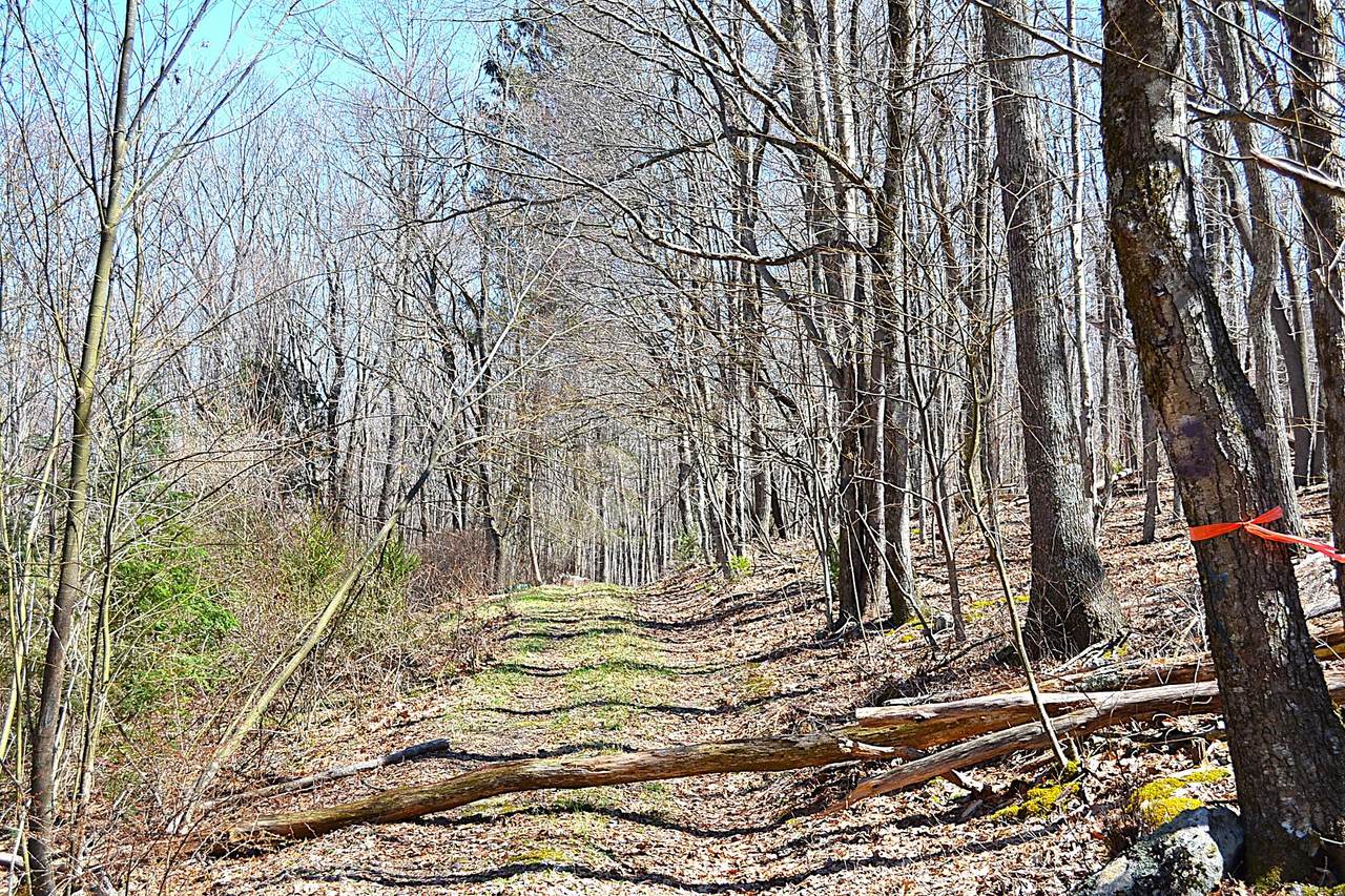 2245 Crowder Rd - Photo 1