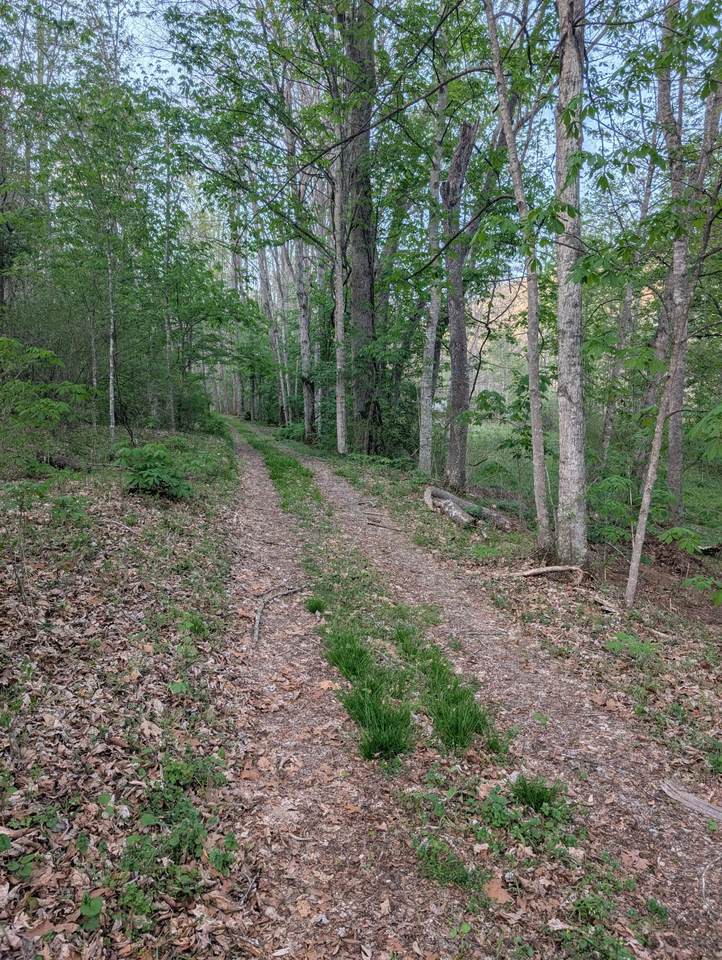 https://bt-photos.global.ssl.fastly.net/greenbrier/1280_boomver_2_26-789-2.jpg
