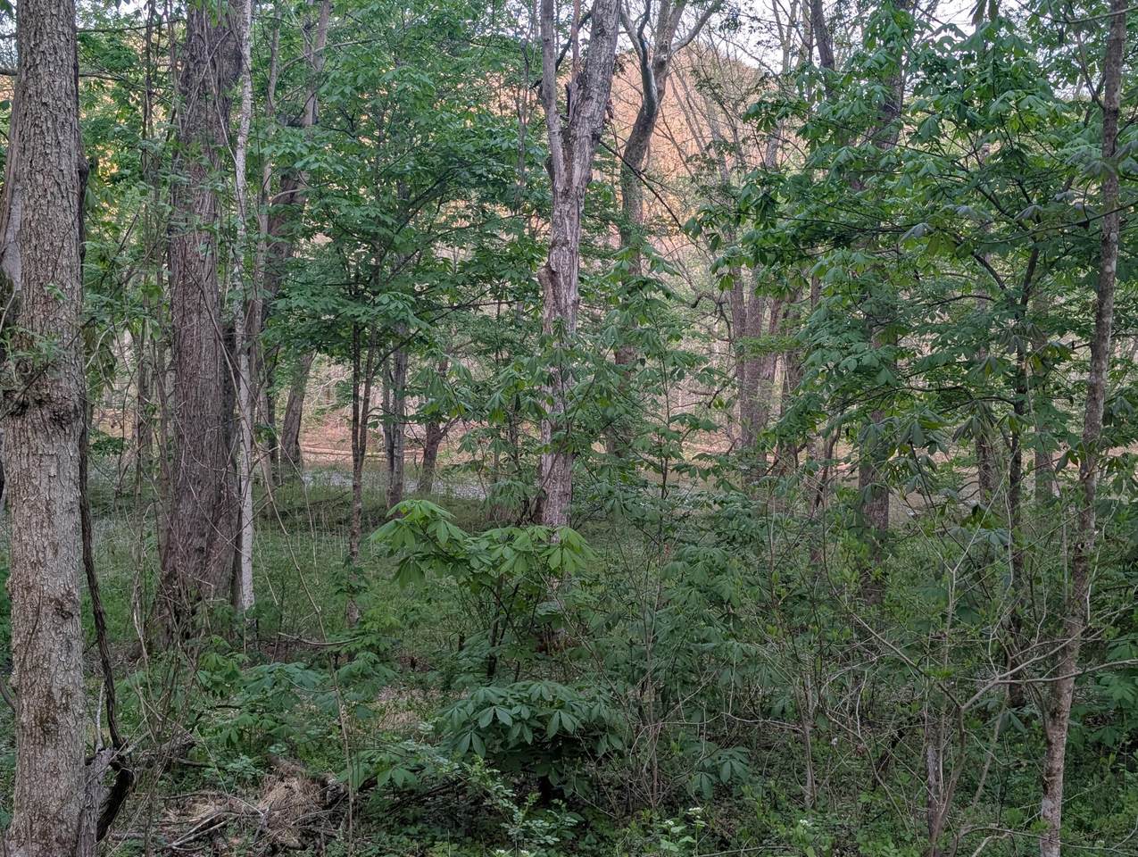 https://bt-photos.global.ssl.fastly.net/greenbrier/1280_boomver_2_26-789-2.jpg
