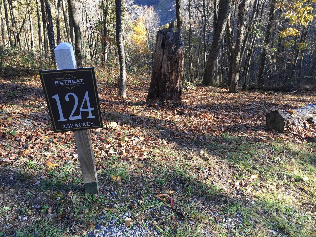 Lot 124 Withrow Landing - Photo 1