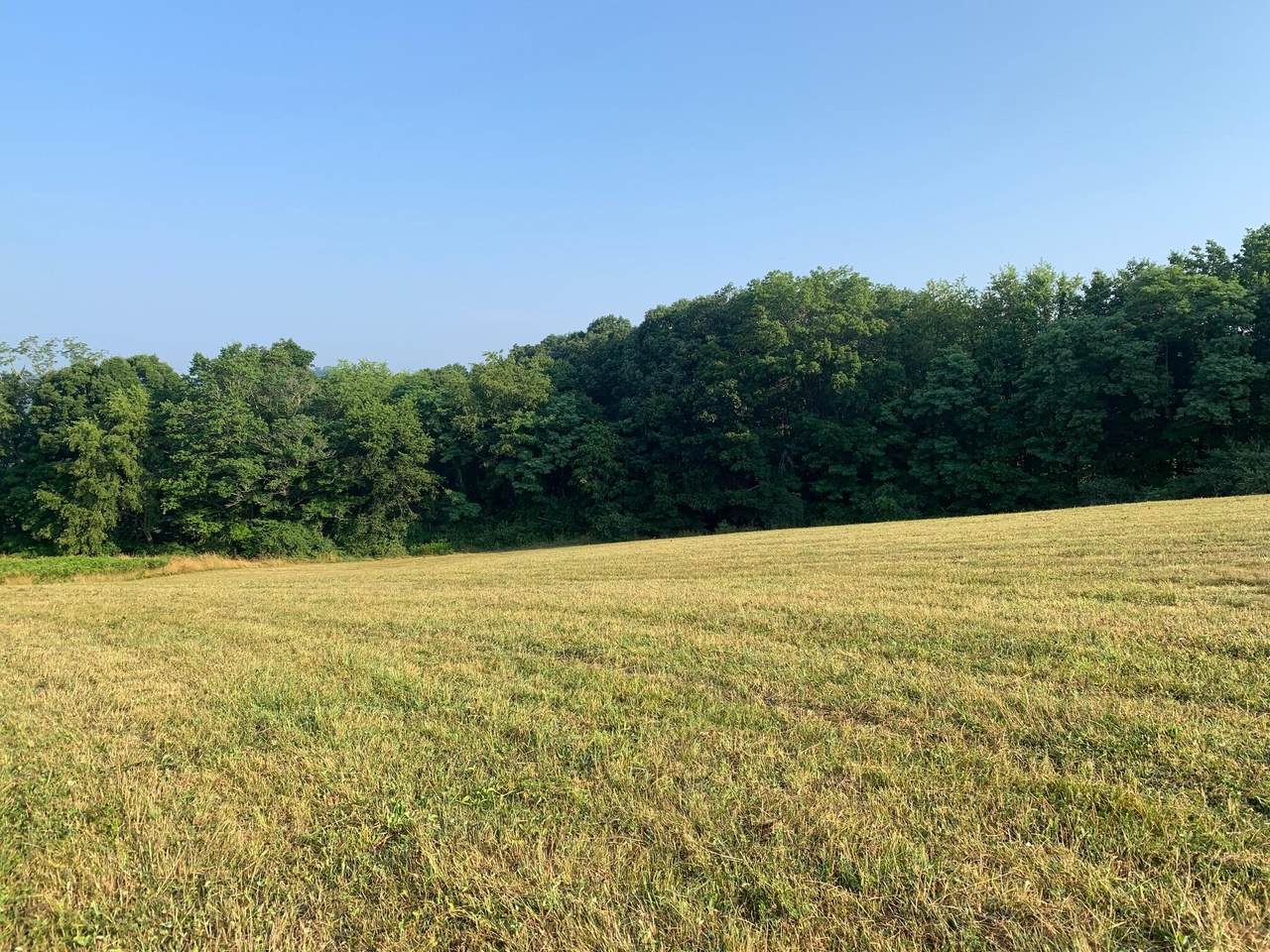 4 Acres Alta Drive/ High Hill Lane - Photo 1