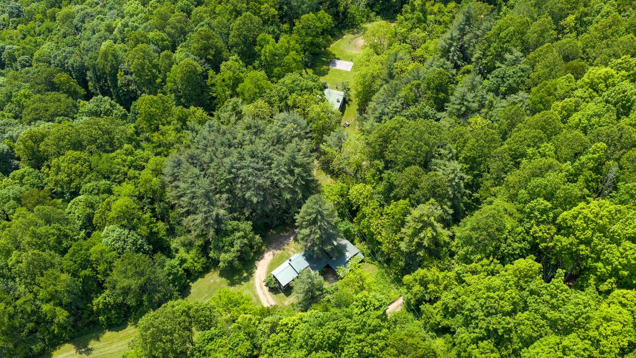 1413 Songbird Ln - Photo 1