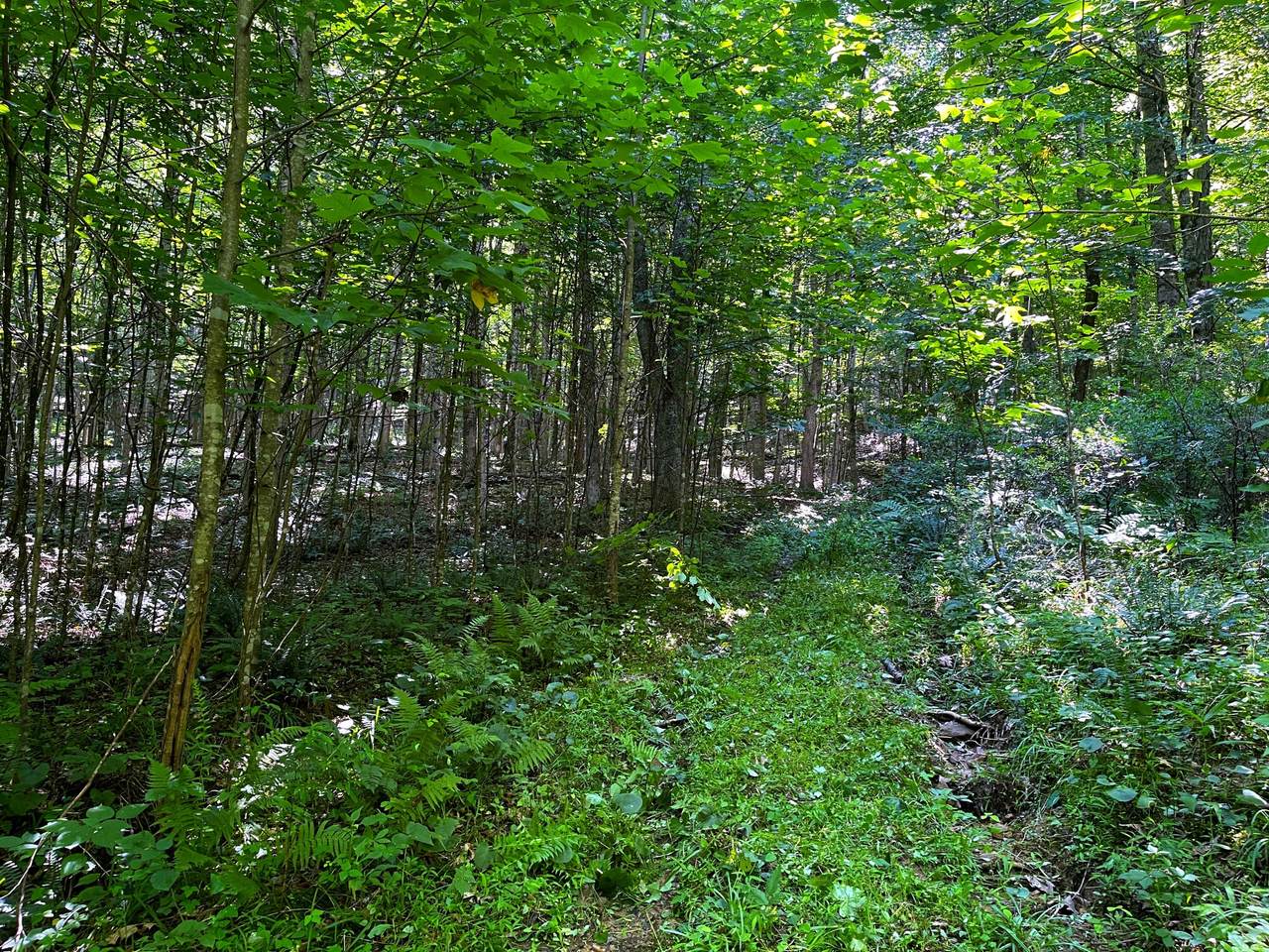 https://bt-photos.global.ssl.fastly.net/greenbrier/1280_boomver_3_26-181-2.jpg